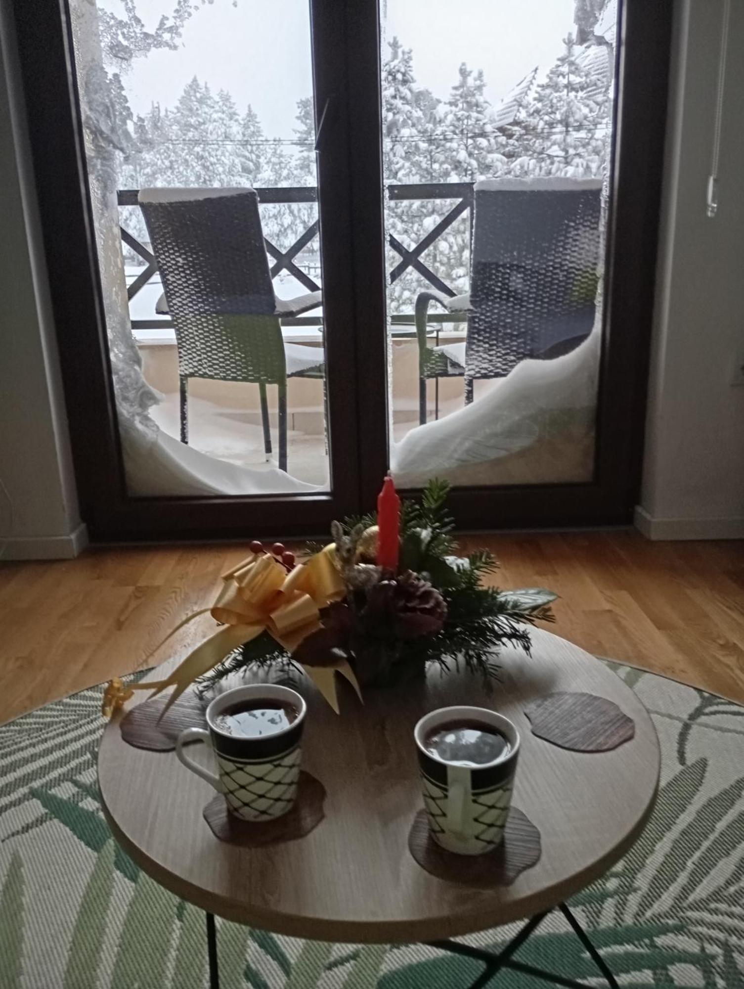 Apartman Pahuljica Tara Kaludjerske Bare Zewnętrze zdjęcie